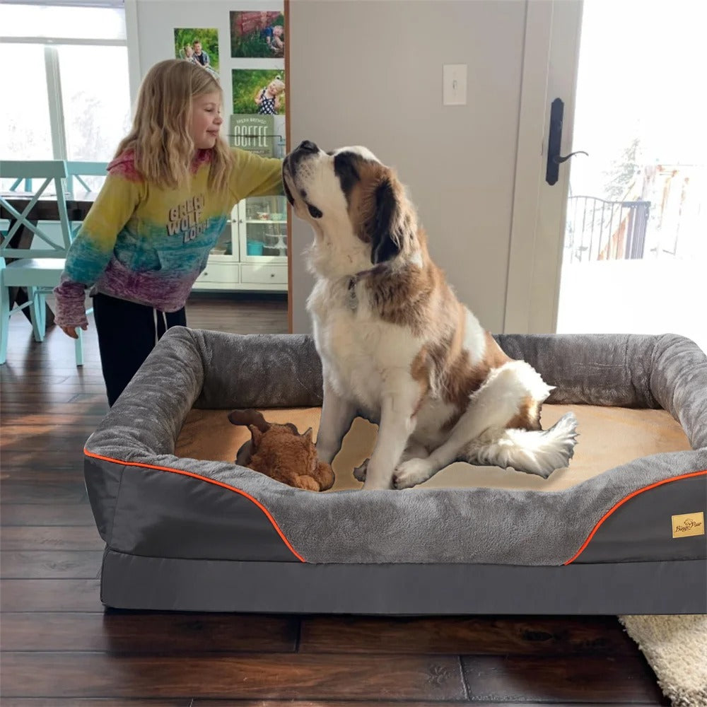 Orthopedic Plush Dog Bed